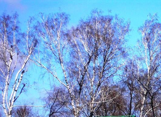 Фото Челябинск и ЧЕЛЯБИНЦЫ. Последний день марта-2006