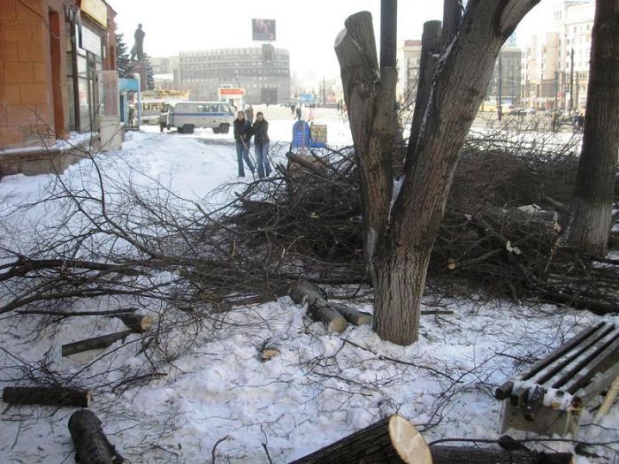 Фото ЧЕЛЯБИНСК и ЧЕЛЯБИНЦЫ. 7 апреля. Возвращение весны