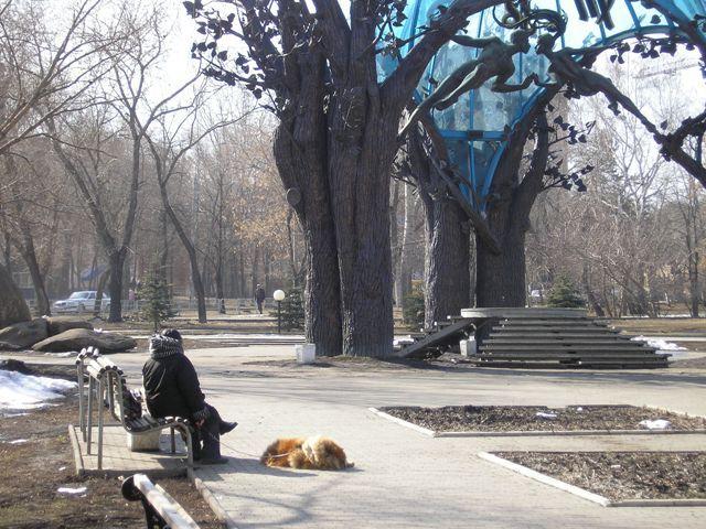 Фото Сфера