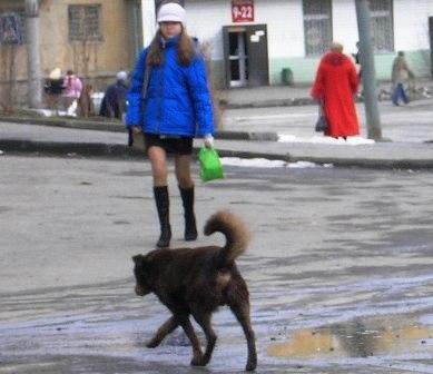 Фото Челябинск и челябинцы. 11 апреля. Возвращение весны