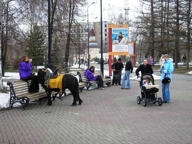 Фото Челябинск и челябинцы. 11 апреля. Возвращение весны