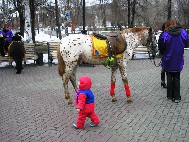 Фото Челябинск и челябинцы. 11 апреля. Возвращение весны