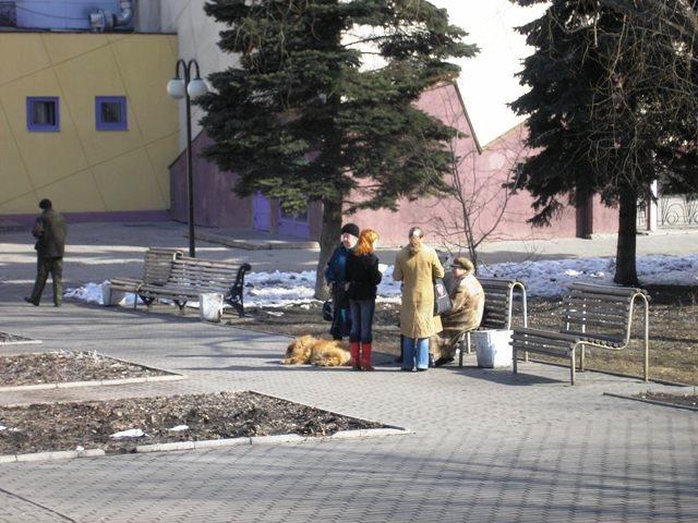 Фото Сфера