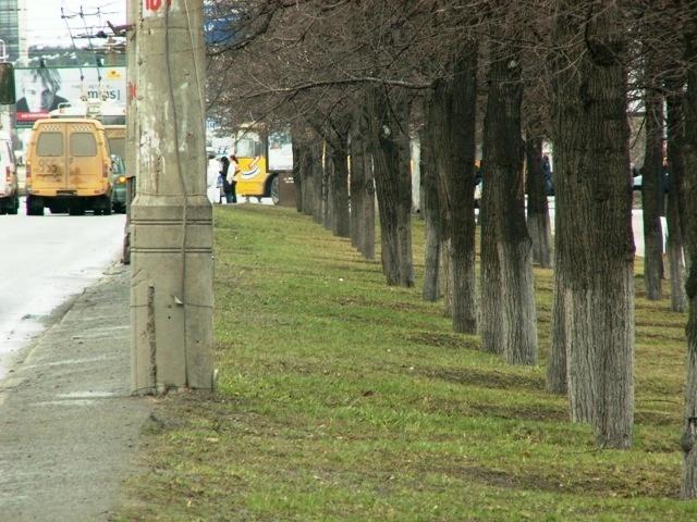 Фото ЧЕЛЯБИНСК и ЧЕЛЯБИНЦЫ 18 апреля. Белочка