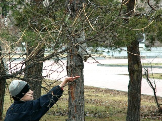 Фото ЧЕЛЯБИНСК и ЧЕЛЯБИНЦЫ 18 апреля. Белочка