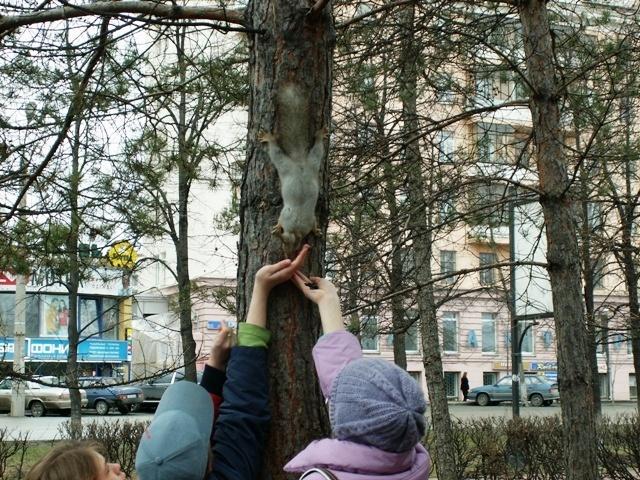 Фото ЧЕЛЯБИНСК и ЧЕЛЯБИНЦЫ 18 апреля. Белочка