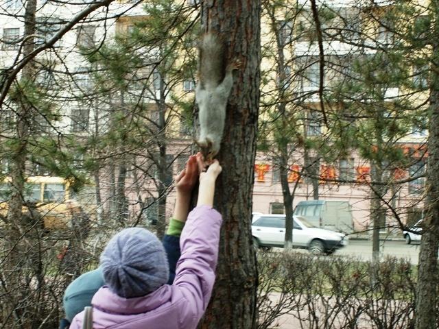Фото ЧЕЛЯБИНСК и ЧЕЛЯБИНЦЫ 18 апреля. Белочка