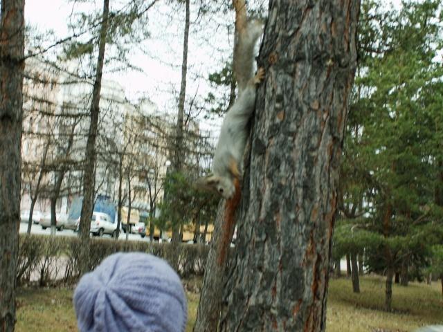 Фото ЧЕЛЯБИНСК и ЧЕЛЯБИНЦЫ 18 апреля. Белочка