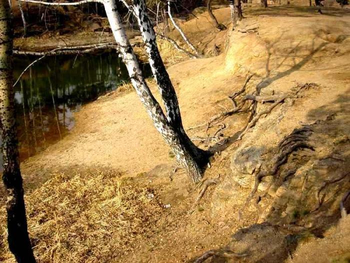 Фото Челябинск и челябинцы. Осколки неба. 23 апреля