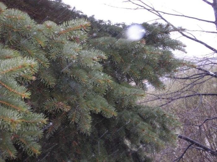 Фото ЧЕЛЯБИНСК и ЧЕЛЯБИНЦЫ.  26 апреля. Зигзаг весны