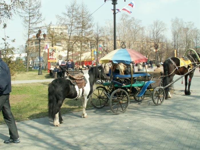Фото Челябинск и Челябинцы. Первомай