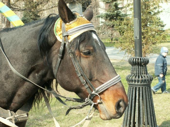 Фото Челябинск и Челябинцы. Первомай