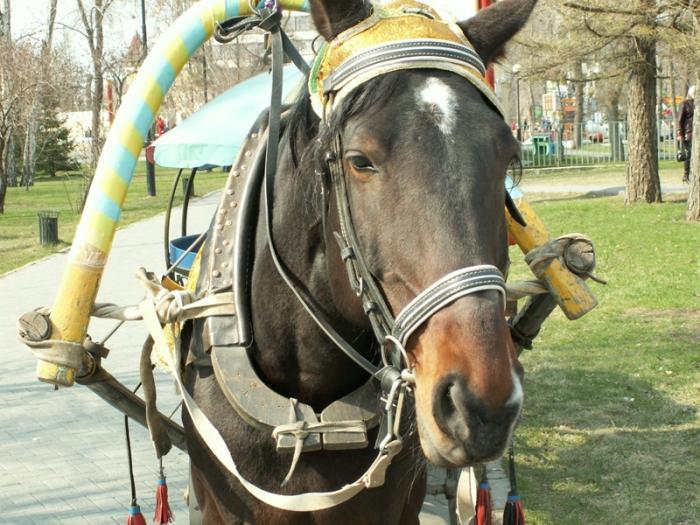 Фото Челябинск и Челябинцы. Первомай