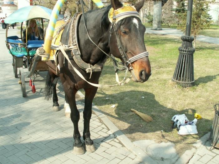 Фото Челябинск и Челябинцы. Первомай