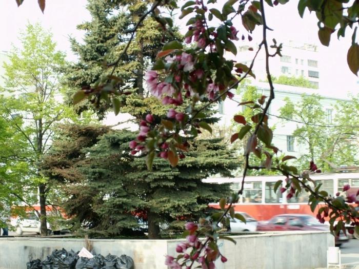 Фото ЧЕЛЯБИНСК и ЧЕЛЯБИНЦЫ. Майский цвет