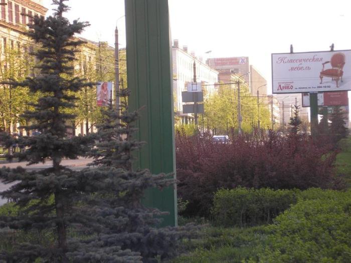 Фото ЧЕЛЯБИНСК и ЧЕЛЯБИНЦЫ. Майский цвет