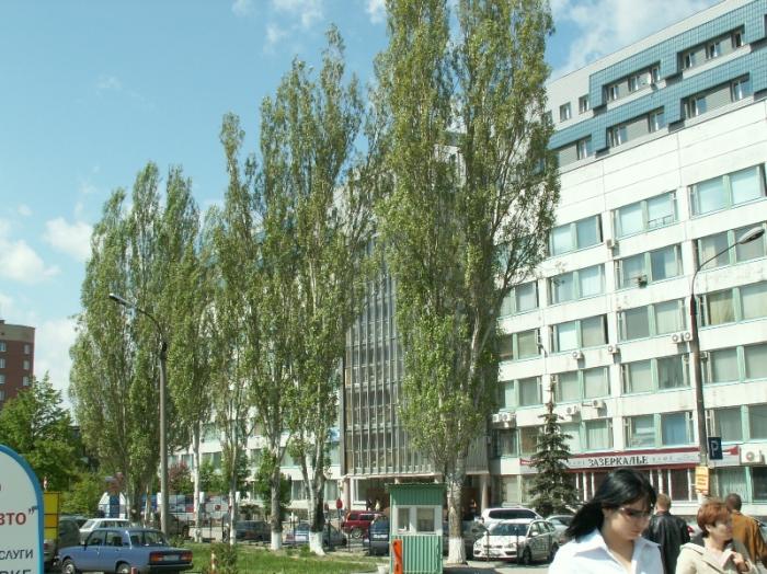 Фото ЧЕЛЯБИНСК и ЧЕЛЯБИНЦЫ. Майский цвет
