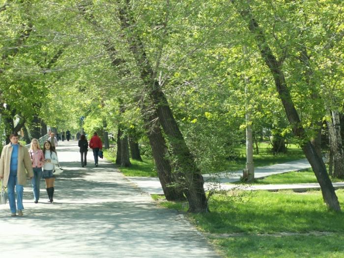 Фото ЧЕЛЯБИНСК и ЧЕЛЯБИНЦЫ. Майский цвет