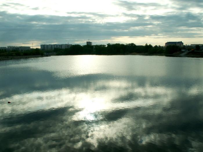 Фото Биологическое разнообразие области. Детский коннкурс