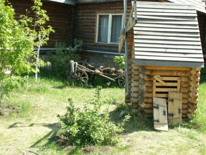 Фото Биологическое разнообразие области. Детский коннкурс