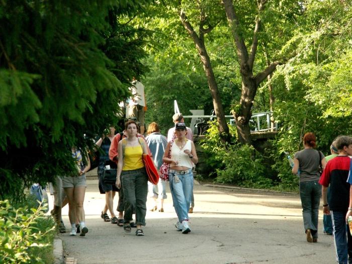 Фото Ильмены-2006