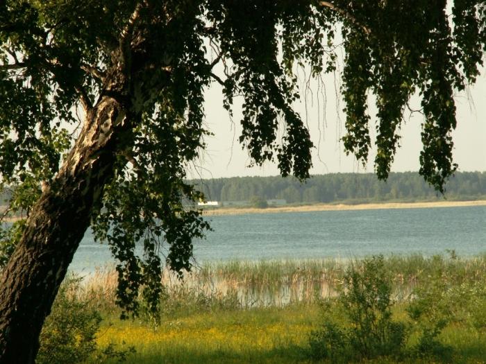 Фото Ильмены-2006