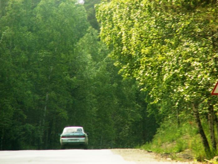 Фото Ильмены-2006