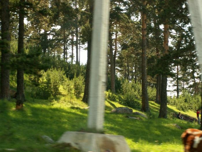 Фото Ильмены-2006