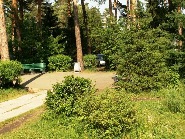 Фото Ильмены-2006