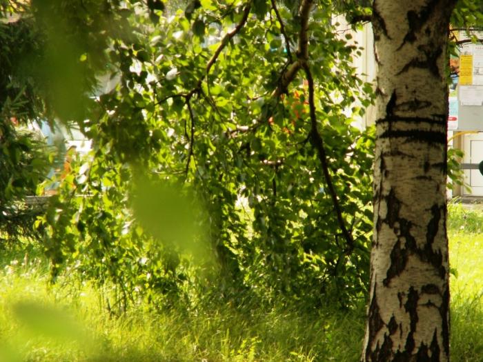 Фото Челябинск и Челябинцы. Июль
