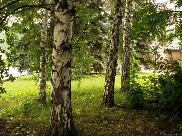 Фото Челябинск и челябинцы. 11 июля