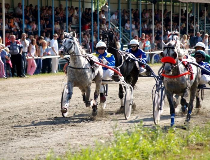 Фото Праздник орловской рысистой породы
