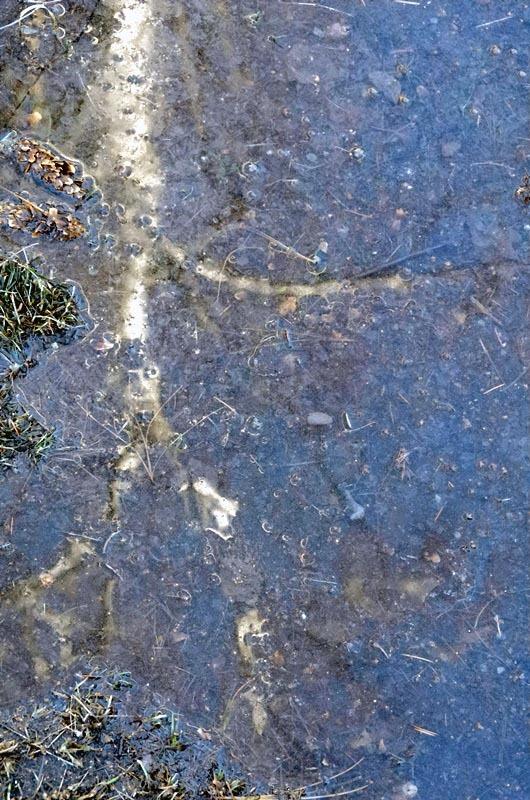 Фото Челябинск  и челябинцы. Апрель-2014. День за днем
