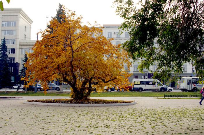Фото Октябрь