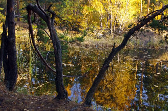 Фото Октябрь