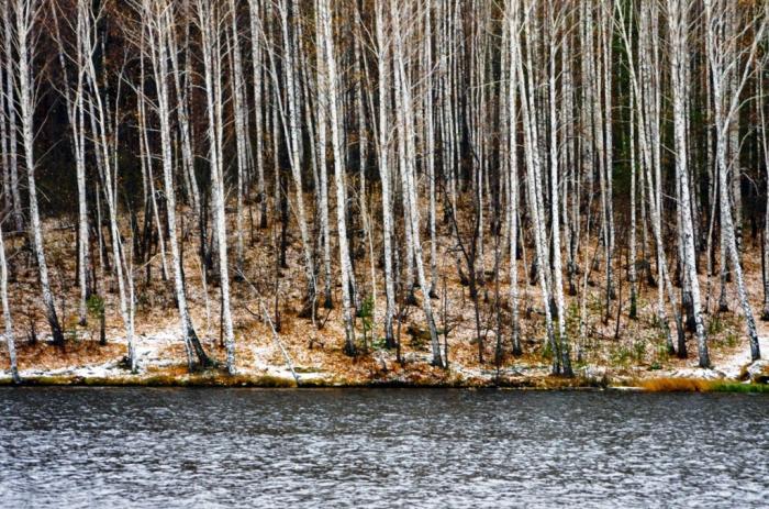 Фото ПОЗДНИЙ ОКТЯБРЬ