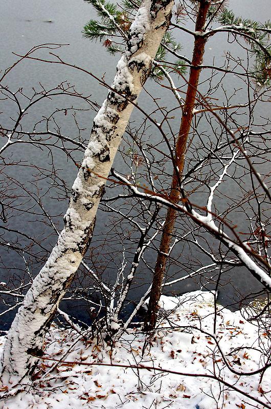 Фото ПОЗДНИЙ ОКТЯБРЬ