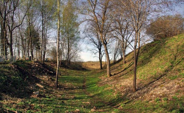 Фото Старый Изборск