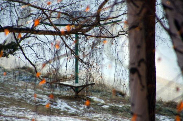 Фото ПОЗДНИЙ ОКТЯБРЬ