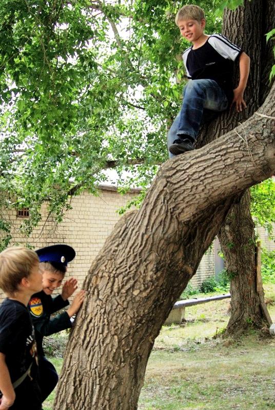Фото «Казачьему роду нет переводу». Травники-2012