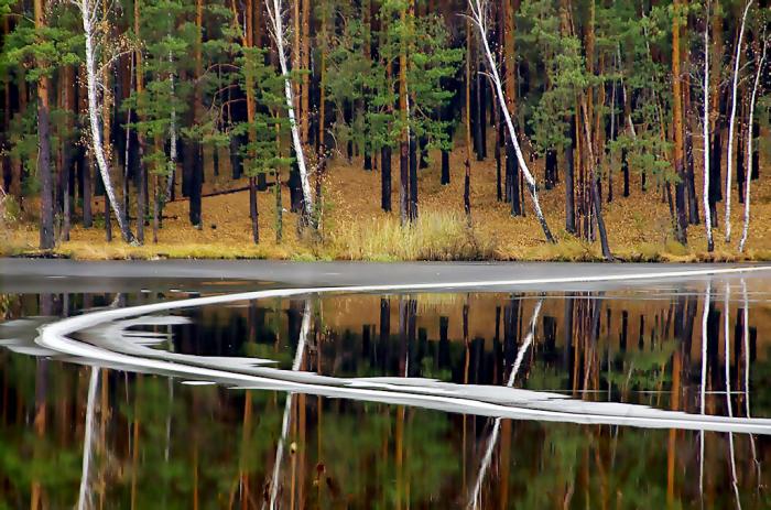 Фото ПОЗДНИЙ ОКТЯБРЬ