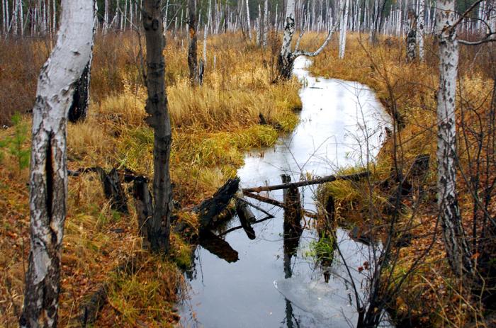 Фото ПОЗДНИЙ ОКТЯБРЬ