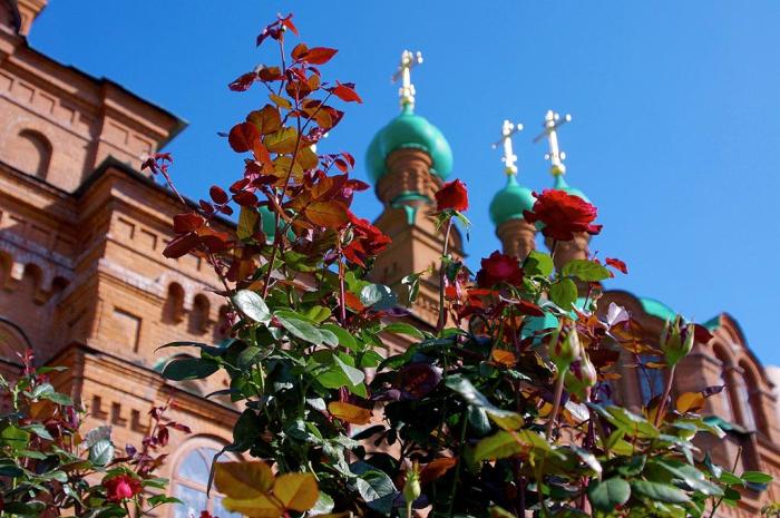 Фото Август-2015 в Челябинске