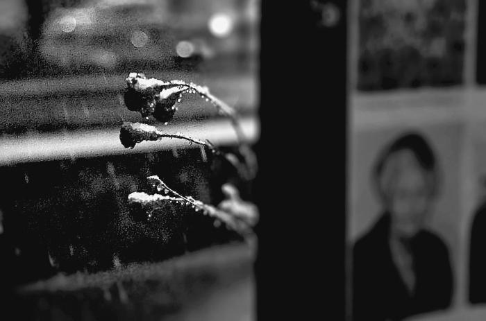 Фото День Победы. Челябинск-2015