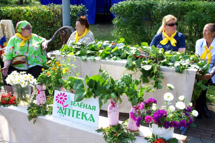 Фото Выставка Цветов и плодов. Челябинск-2019