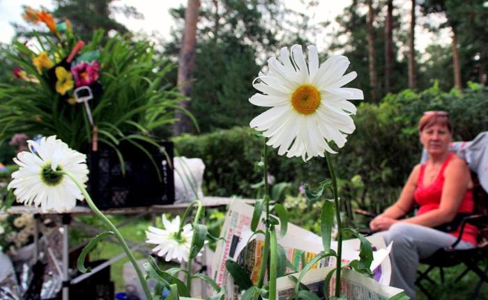 Фото Выставка плодов и цветов-2014 в Челябинске