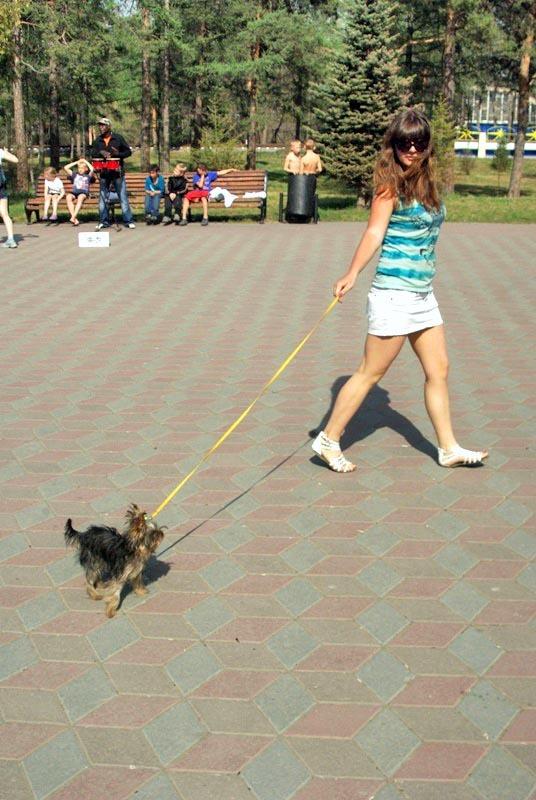 Фото ВЕСНА БЫЛА. 