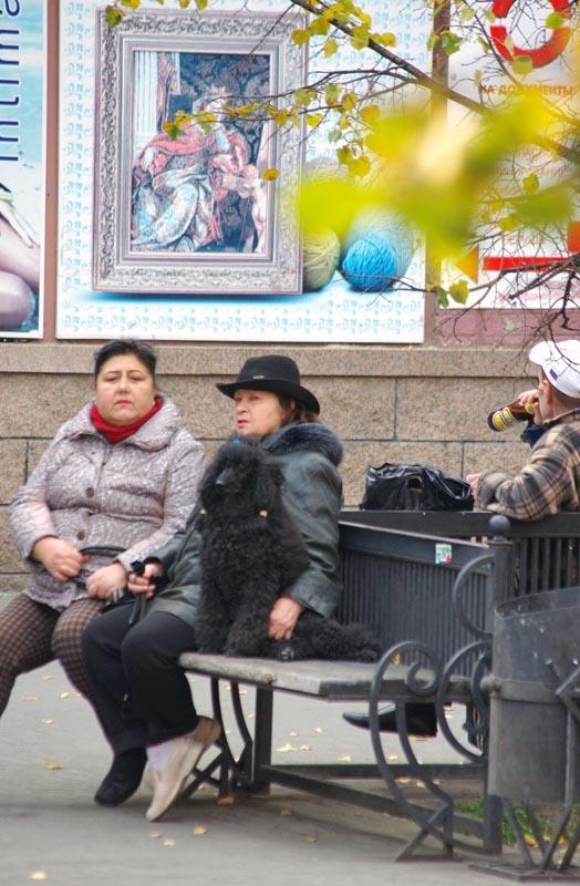 Фото В сентябре-2014