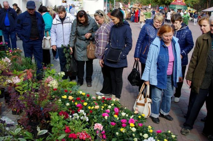 Фото Цветы и плоды, Челябинск-2015