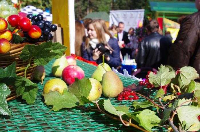 Фото Цветы и плоды, Челябинск-2015